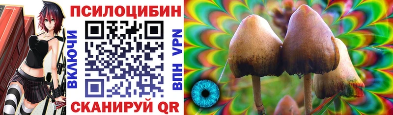 Галлюциногенные грибы ЛСД  Кстово 